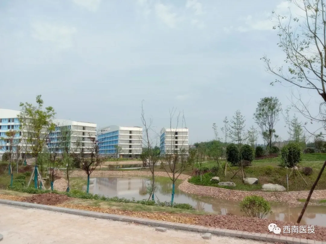 西南醫(yī)投醫(yī)學(xué)教育培訓(xùn)中心項目按下“收尾”鍵