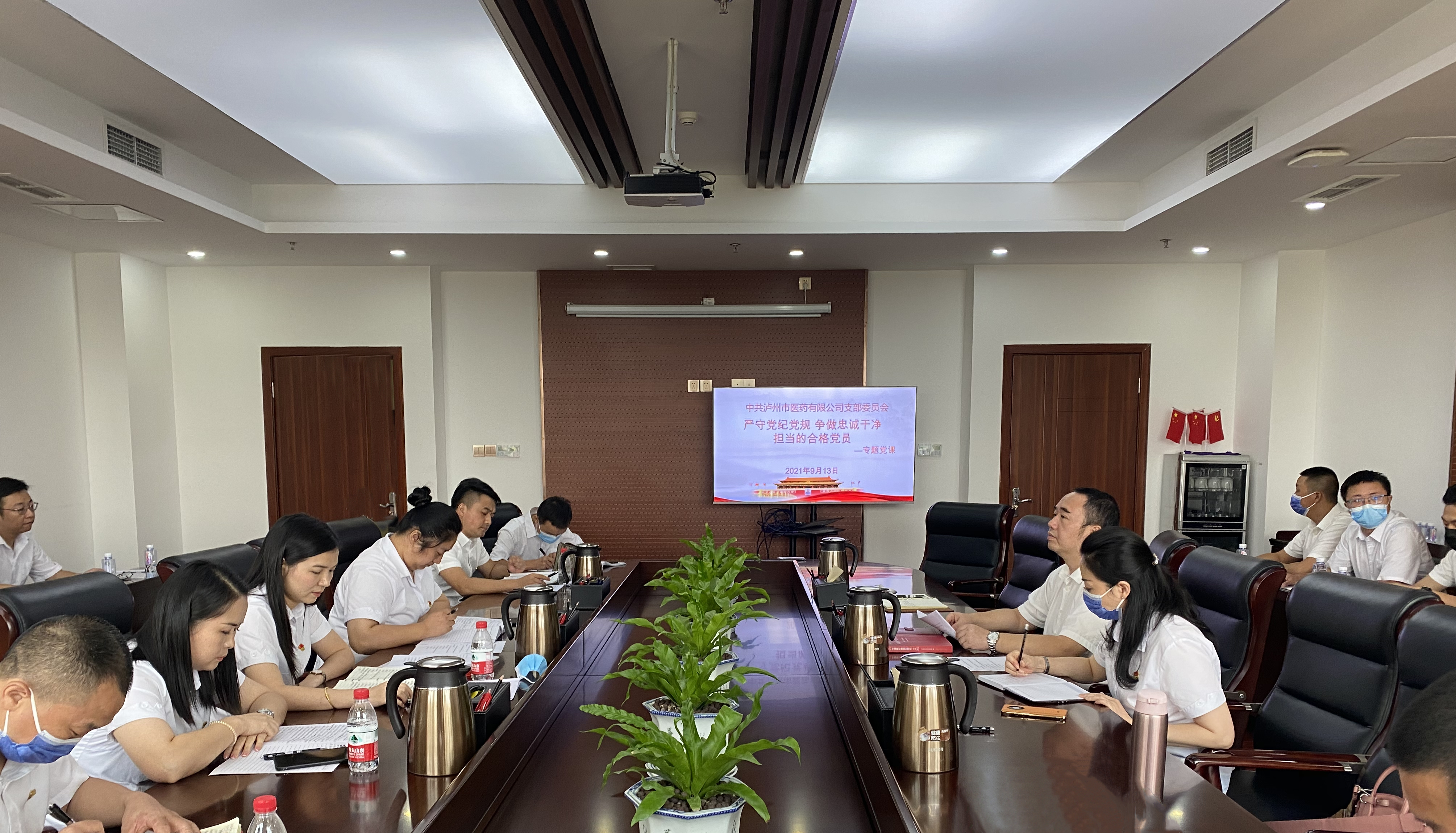 醫藥公司黨支部書記楊虹講授專題黨課